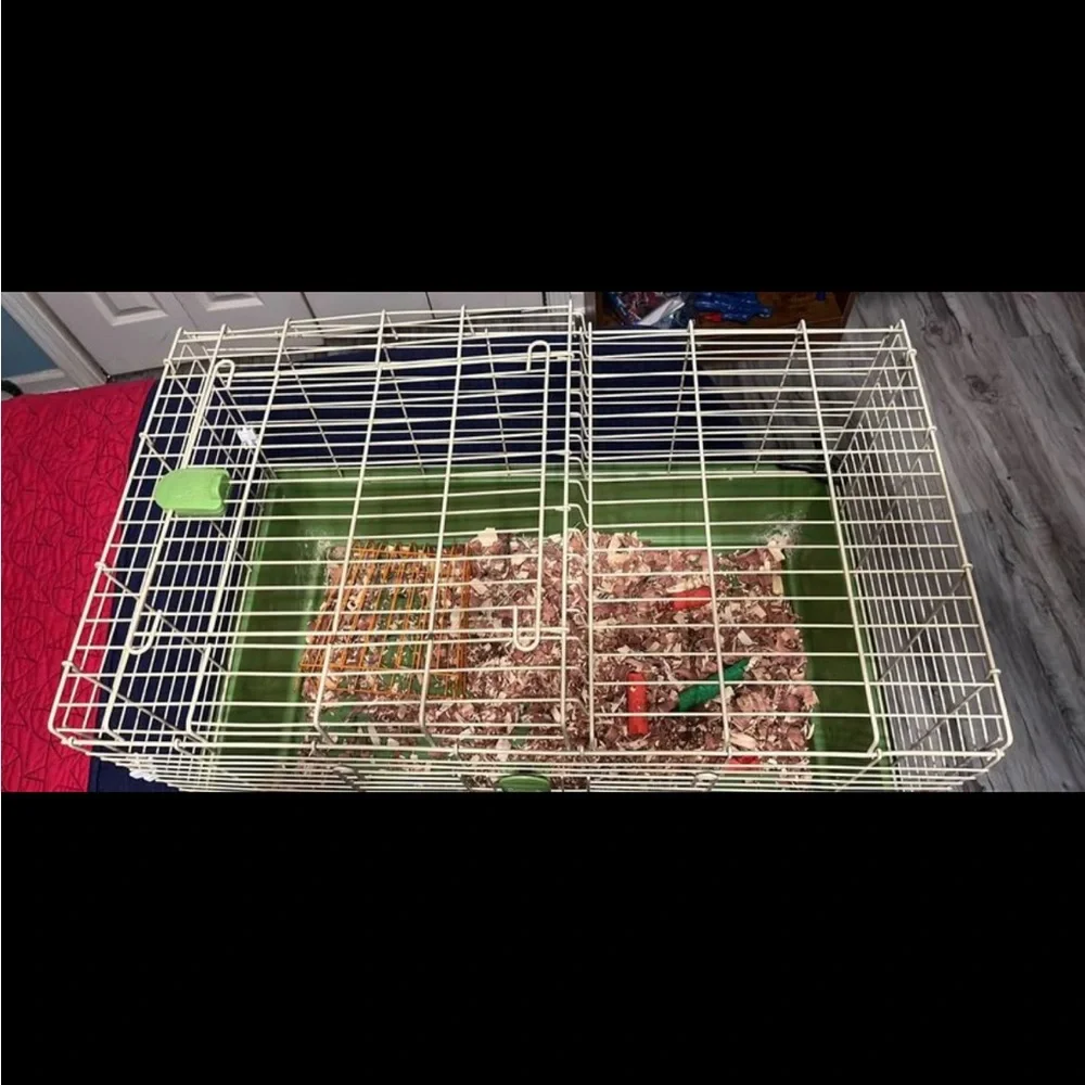 Guinea Pig Cage